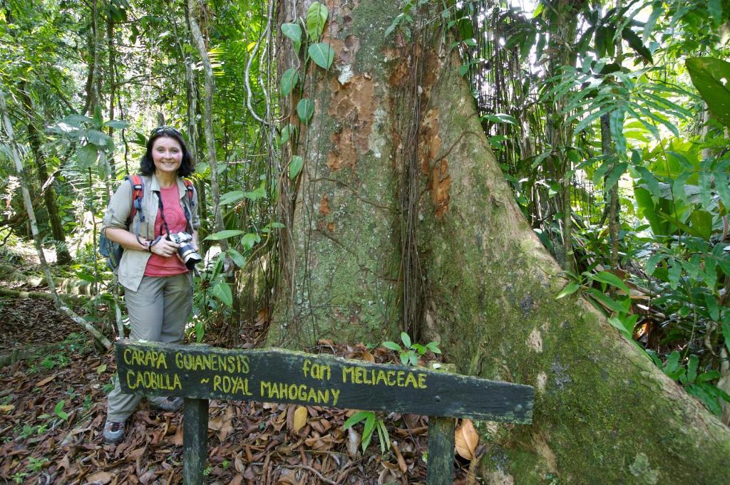 Selva Bananito Lodge Westfalia Esterno foto